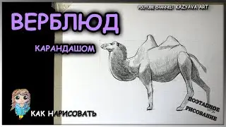 Как нарисовать ВЕРБЛЮДА карандашом пошагово