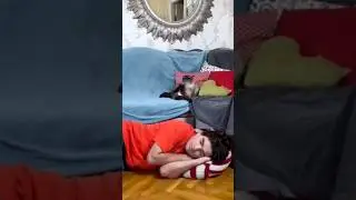 Кроватка для кота #кусьшоу #смешныекотейки #котики