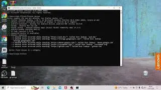 flutter SDK version check