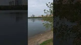 Москва +26. 12 сентября 2024.