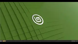 Testing Out LMDE 6 