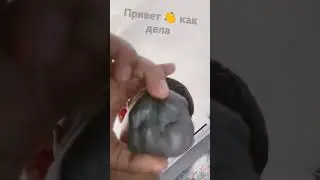 27 апреля 2023 г.