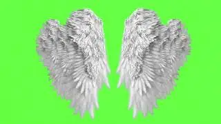 Angel wings green screen