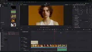 How To Copy Paste Clip Attributes and Effects in Davinci Resolve (2023)