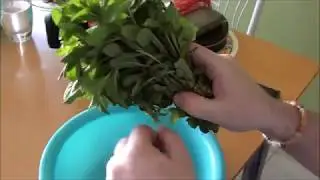 #NaneLikörü Nane Likörü Nasıl Yapılır -1 | Ev Yapımı | PREMIUM HOMEMADE CREME DE MENTHE