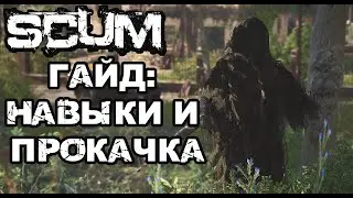 SCUM | (0,5) ГАЙД ДЛЯ НОВИЧКОВ, НАВЫКИ И ПРОКАЧКА ПЕРСА!