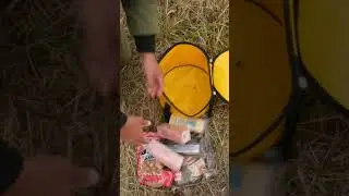 Участвуй в розыгрыше!
