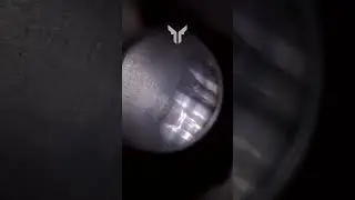 Леший 2 Внутри ствола AP
