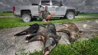 Public Land Hog Hunt in the Middle of Hurricane Debby! {Catch Clean Cook}