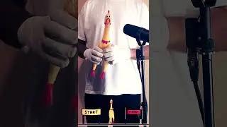 Maroon 5 -  Moves Like Jagger (Mr.Chicken)
