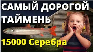САМЫЙ ДОРОГОЙ ТАЙМЕНЬ 15 000  серы (Минус Уши) ТУНГУСКА ✅ РУССКАЯ РЫБАЛКА 4 🔴 Russian Fishing 4 🔴РР4