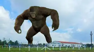 king Kong/vfx/graphics/gorilla/green screen gorillas/creature/3d animation/free use/ 3d characters