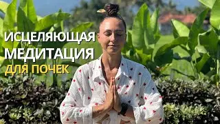 Медитация исцеляющий звук для почек