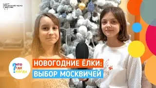 Новогодние ёлки: выбор москвичей | Медиастудия 