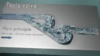TESLA VALVE (FLUID SIMULATION) 