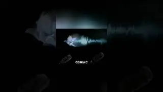 Как сова летает так тихо?