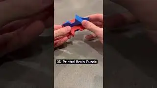 3D Printed Brain Puzzle #engineering #3dprinter #3dprinting #3dprints #puzzle