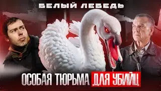 Тюрьма белый лебедь – Приговоренные. Где сидят самые опасные преступники. История колонии