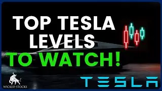 Tesla Stock Price Analysis | Top Levels To Watch for Wednesday, July 17th 2024