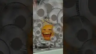 How many fans does Annoying Orange have?