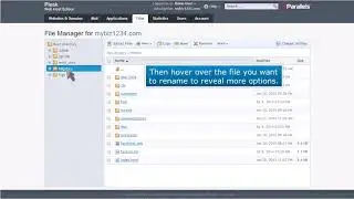 Plesk: How to Rename Files in File Manager