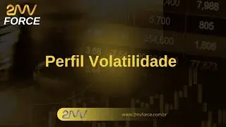 2MV VOLATILIDADE