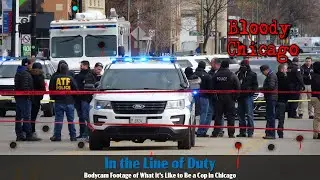 Cops, Mass Shootings & Who is Bloody Chicago ?