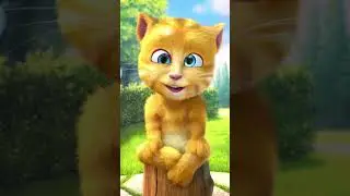 Talking Ginger