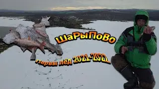 Первый лёд 2021 -2022 