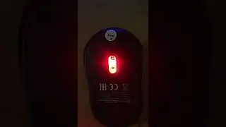 IMG 1699