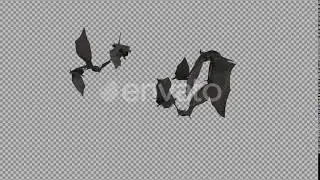 Bat Swarm Transition - 4K | Motion Graphics - Envato elements