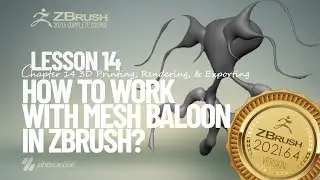 How to Work with Mesh Baloon in Zbrush? | Lesson 14 | Chapter 14 | Zbrush 2021 Essentials Training