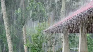 rain