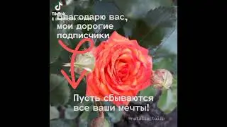 Открытка. Благодарю