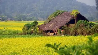 How Poor People Live Their Life in Indian Village |  Real Life India | Village Life of West bengal |