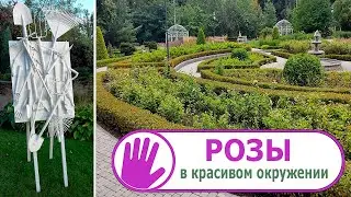 Видео журнал 