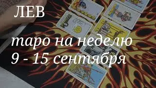 ЛЕВ ТАРО расклад на неделю с 9 по 15 сентября 2024 года.