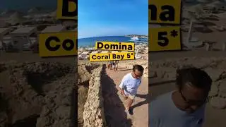 ✈️ Летим в Египет Отель Domina Coral Bay 5*