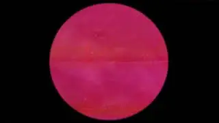 dumbleisdead - Djon