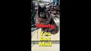 You Won't Believe What's Inside Monty's Mail