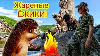 Sea hedgehogs. Sea Urchin caviar. Fishing in the Sea of Japan.