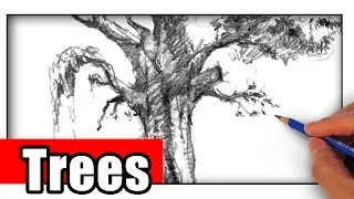 How to Draw a Tree the Easy Way