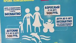 КОКТЕБЕЛЬ СЕГОДНЯ / ЦЕНЫ В КАФЕШКАХ / ДЕЛЬФИНАРИЙ / КРЫМ СЕЗОН 2018