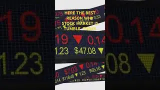 Why the Stock Market is Declining (Explained Simply)