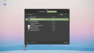 19 installing applets in linux mint 18 force quit reload cinnamon weather