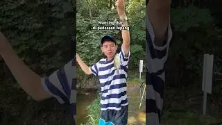 MANCING DI PEDESAAN JEPANG 