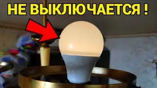 Горит лампочка при выключенном свете и выключателе что делать ?