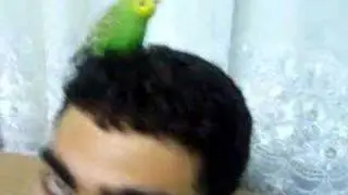 sex düşmanı
