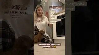 За 3 недели изучили, на этом не останавливаемся ☺️🐶 подписывайся, чтобы следить за нашим развитием
