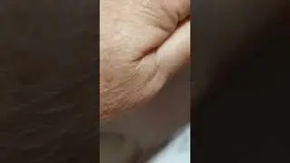 Ошибки и разочарования